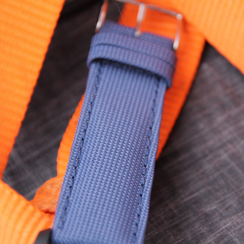 seaqual blue strap